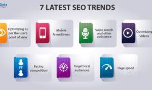 Understanding SEO Trends