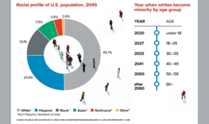 Understanding Audience Demographics