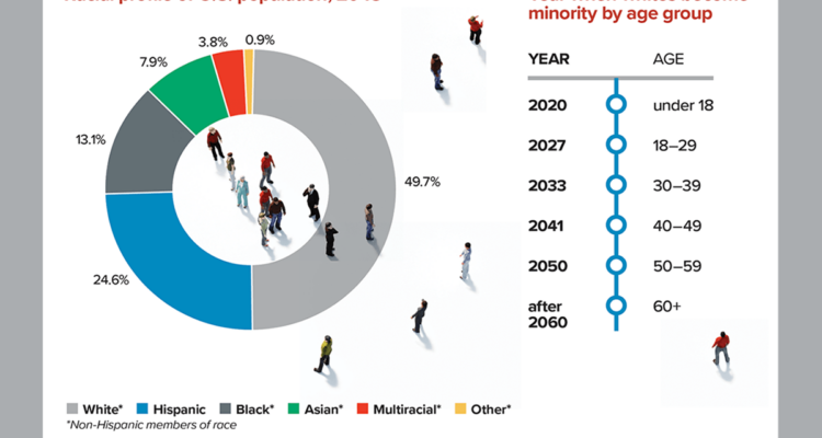 Understanding Audience Demographics