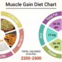 Best diets for muscle gain