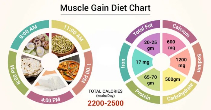 Best diets for muscle gain