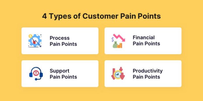 Understanding Customer Pain Points