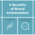 Brand Ambassador Program Ideas